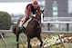 Exercise rider Willie Delgado gallops Kentucky Derby winner California Chrome at Pimlico Race Course in Baltimore, Md., Wednesday, May 14, 2014. The Preakness Stakes horse race is scheduled for May 17 at Pimlico. (AP Photo/Garry Jones)