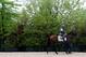 BALTIMORE, MD - MAY 15: Bayern walks to the track in preparation for the 139th Preakness Stakes at Pimlico Race Course on May 15, 2014 in Baltimore, Maryland. (Photo by Patrick Smith/Getty Images)