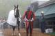 Exercise rider Willie Delgado, center, leads Kentucky Derby winner California Chrome to his stable as trainer Art Sherman, right, watches after a workout at Pimlico Race Course in Baltimore, Thursday, May 15, 2014. The Preakness Stakes horse race is scheduled to take place May 17. (AP Photo/Patrick Semansky)