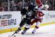 Detroit Red Wings' Tomas Tatar (21), of Slovakia, tries to get to the puck controlled by Pittsburgh Penguins' Matt Niskanen (2) during the second period of an NHL hockey game Thursday, March 20, 2014 in Detroit. The Red Wings defeated the Penguins 5-4 in overtime. (AP Photo/Duane Burleson)