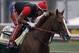 Exercise rider Willie Delgado gallops Kentucky Derby winner California Chrome at Pimlico Race Course in Baltimore, Md., Wednesday, May 14, 2014. The Preakness Stakes horse race is scheduled for May 17 at Pimlico. (AP Photo/Garry Jones)