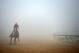 BALTIMORE, MD - MAY 15: Exercise rider Willie Delgado takes Kentucky Derby winner California Chrome over the track in preparation for the 139th Preakness Stakes at Pimlico Race Course on May 15, 2014 in Baltimore, Maryland. (Photo by Patrick Smith/Getty Images)