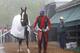 Exercise rider Willie Delgado, center, leads Kentucky Derby winner California Chrome to his stable as trainer Art Sherman, right, watches after a workout at Pimlico Race Course in Baltimore, Thursday, May 15, 2014. The Preakness Stakes horse race is scheduled to take place May 17. (AP Photo/Patrick Semansky)