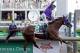 Victor Espinoza rides California Chrome to a victory during the 140th running of the Kentucky Derby horse race at Churchill Downs Saturday, May 3, 2014, in Louisville, Ky. (AP Photo/Morry Gash)