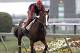 Exercise rider Willie Delgado gallops Kentucky Derby winner California Chrome at Pimlico Race Course in Baltimore, Md., Wednesday, May 14, 2014. The Preakness Stakes horse race is scheduled for May 17 at Pimlico. (AP Photo/Garry Jones)