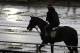 Preakness Stakes favorite California Chrome heads back to the barn after a morning workout in the rain under exercise rider Willie Delgado at Pimlico Race Course, Friday, May 16, 2014, in Baltimore. The 139th Preakness horse race takes place Saturday. (AP Photo/Garry Jones)