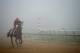 BALTIMORE, MD - MAY 15: Exercise rider Willie Delgado takes Kentucky Derby winner California Chrome over the track in preparation for the 139th Preakness Stakes at Pimlico Race Course on May 15, 2014 in Baltimore, Maryland. (Photo by Patrick Smith/Getty Images)