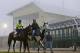 Kid Cruz, left, with exercise rider Reul Munoz aboard, walks past the grandstand after a workout under a thick layer of fog at Pimlico Race Course in Baltimore, Thursday, May 15, 2014. The Preakness Stakes horse race is scheduled to take place May 17. (AP Photo/Patrick Semansky)
