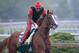 BALTIMORE, MD - MAY 14: Exercise rider Willie Delgado takes Kentucky Derby winner California Chrome over the track in preparation for the 139th Preakness Stakes at Pimlico Race Course on May 14, 2014 in Baltimore, Maryland. (Photo by Rob Carr/Getty Images)