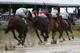 Horses race down a sloppy track during the second race before the Black-Eyed Susan Stakes horse race at Pimlico Race Course, Friday, May 16, 2014, in Baltimore. The 139th Preakness horse race takes place Saturday. (AP Photo/Matt Slocum)