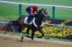 BALTIMORE, MD - MAY 14: Exercise rider Bryan Beccia takes Ride On Curlin over the track in preparation for the 139th Preakness Stakes at Pimlico Race Course on May 14, 2014 in Baltimore, Maryland. (Photo by Rob Carr/Getty Images)