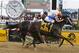 Stopchargingmaria, with jockey Javier Castellano, wins the Black-Eyed Susan Stakes horse race, as Vero Amore, with Frank Pennington riding, finishes second at Pimlico Race Course, Friday, May 16, 2014, in Baltimore. (AP Photo/Mike Stewart)