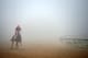 BALTIMORE, MD - MAY 15: Exercise rider Willie Delgado takes Kentucky Derby winner California Chrome over the track in preparation for the 139th Preakness Stakes at Pimlico Race Course on May 15, 2014 in Baltimore, Maryland. (Photo by Patrick Smith/Getty Images)