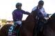 LOUISVILLE, KY - MAY 03: California Chrome #5, ridden by Victor Espinoza, takes part in the post parade prior the 140th running of the Kentucky Derby at Churchill Downs on May 3, 2014 in Louisville, Kentucky. (Photo by Dylan Buell/Getty Images)