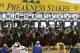 Horses leave the starting gate for the first race of the day ahead of the 139th Preakness Stakes horse race at Pimlico Race Course, Saturday, May 17, 2014, in Baltimore. The race was taken of the turf. (AP Photo/Garry Jones)