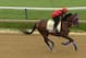 BALTIMORE, MD - MAY 15: Exercise rider Domingo Navarro takes Social Inclusion over the track in preparation for the 139th Preakness Stakes at Pimlico Race Course on May 15, 2014 in Baltimore, Maryland. (Photo by Patrick Smith/Getty Images)