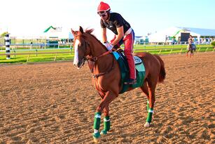 868dd2587b46ef86744d09155c18093b_crop_north