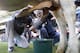 Tampa Bay Rays' David Price, left, participates in a cow milking contest prior to a baseball game on Friday, May 16, 2014, in Anaheim, Calif. (AP Photo/Alex Gallardo)