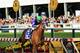BALTIMORE, MD - MAY 17: California Chrome #3, ridden by Victor Espinoza, races to the finishline to win during the 139th running of the Preakness Stakes at Pimlico Race Course on May 17, 2014 in Baltimore, Maryland. (Photo by Patrick Smith/Getty Images)