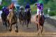 BALTIMORE, MD - MAY 17: California Chrome #3, ridden by Victor Espinoza, crosses the finishline to win the 139th running of the Preakness Stakes at Pimlico Race Course on May 17, 2014 in Baltimore, Maryland. (Photo by Rob Carr/Getty Images)