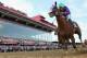 BALTIMORE, MD - MAY 17: California Chrome #3, ridden by Victor Espinoza, races to the finish line enroute to winning the 139th running of the Preakness Stakes at Pimlico Race Course on May 17, 2014 in Baltimore, Maryland. (Photo by Rob Carr/Getty Images)