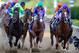 BALTIMORE, MD - MAY 17: Victor Espinoza atop California Chrome #3 heads into the first turn during the 139th running of the Preakness Stakes at Pimlico Race Course on May 17, 2014 in Baltimore, Maryland. (Photo by Rob Carr/Getty Images)