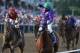 Jockey Victor Espinoza, center, aboard California Chrome, celebrates after winning the 139th Preakness Stakes horse race at Pimlico Race Course, Saturday, May 17, 2014, in Baltimore. Ride On Curlin, left, ridden by Joel Rosario, finished second. (AP Photo/Matt Slocum)