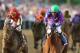 BALTIMORE, MD - MAY 17: California Chrome #3, ridden by Victor Espinoza, races with the field during the 139th running of the Preakness Stakes at Pimlico Race Course on May 17, 2014 in Baltimore, Maryland. (Photo by Matthew Stockman/Getty Images)