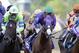 FILE - In this Saturday, May 17, 2014 file photo, California Chrome, center, ridden by Victor Espinoza, Pablo Del Monte, right, ridden by Jeffrey Sanchez, and Ria Antonia, left, ridden by Calvin Borel, race to the first turn during the 139th Preakness Stakes horse race at Pimlico Race Coursein Baltimore. California Chrome might abandon his Triple Crown bid if New York officials do not allow the colt to wear a nasal strip in the Belmont Stakes. (AP Photo/Patrick Semansky), File