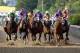 May 17, 2014; Baltimore, MD, USA; The field comes down the front stretch at the start of the 139th Preakness Stakesat Pimlico Race Course. Mandatory Credit: Winslow Townson-USA TODAY Sports
