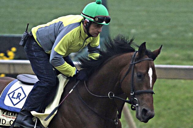 Horse Named After Giants' Victor Cruz Disappoints in Race