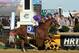 IMAGE DISTRIBUTED FOR LONGINES - California Chrome, ridden by jockey Victor Espinoza, wins the second leg of the Triple Crown as he runs away with the 139th Preakness Stakes, Saturday, May 17, 2014, in Baltimore, MD. Longines, the Swiss watchmaker known for its famous timepieces, is the Official Watch and Timekeeper of the 139th annual Preakness Stakes and the Triple Crown. (Diane Bondareff/Invision for Longines/AP Images)