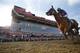 California Chrome, ridden by jockey Victor Espinoza, wins the 139th Preakness Stakes horse race at Pimlico Race Course, Saturday, May 17, 2014, in Baltimore. (AP Photo/Matt Slocum)