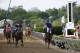 May 17, 2014; Baltimore, MD, USA; Victor Espinoza aboard California Chrome celebrates winning the 139th Preakness Stakesat Pimlico Race Course. Mandatory Credit: Winslow Townson-USA TODAY Sports