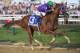 BALTIMORE, MD - MAY 17: California Chrome #3, ridden by Victor Espinoza, races to the finishline to win the 139th running of the Preakness Stakes at Pimlico Race Course on May 17, 2014 in Baltimore, Maryland. (Photo by Molly Riley/Getty Images)