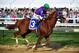 BALTIMORE, MD - MAY 17: California Chrome #3, ridden by Victor Espinoza, races during the 139th running of the Preakness Stakes at Pimlico Race Course on May 17, 2014 in Baltimore, Maryland. (Photo by Molly Riley/Getty Images)