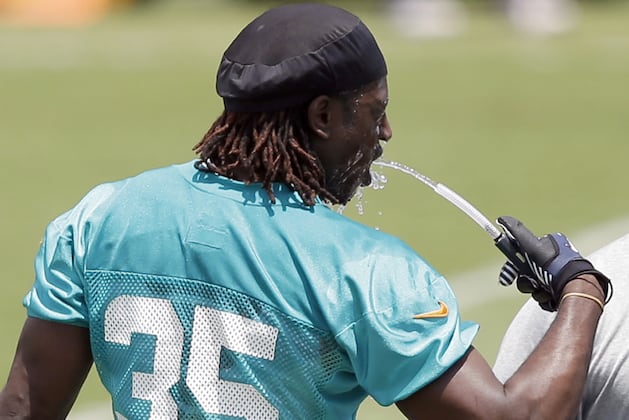 Walt Aikens Signs with the Dolphins