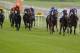 KILDARE, IRELAND - MAY 24: James Doyle riding Kingman (2R) win The Tattersalls Irish 2,000 Guineas at Curragh racecourse on May 24, 2014 in Kildare, Ireland. (Photo by Alan Crowhurst/Getty Images)