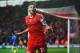 SOUTHAMPTON, ENGLAND - NOVEMBER 09: Adam Lallana of Southampton celebrates after scoring during the Barclays Premier League match between Southampton and Hull City at St Mary's Stadium on November 9, 2013 in Southampton, England. (Photo by Mike Hewitt/Getty Images)