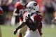 Arizona Cardinals running back Andre Ellington (38) runs against the San Francisco 49ers during the third quarter of an NFL football game in San Francisco, Sunday, Oct. 13, 2013. (AP Photo/Ben Margot)