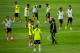 LAS ROZAS DE MADRID, SPAIN - MAY 28: Head coach Vicente Del Bosque of Spain directs his players during a training session at Ciudad del Futbol on May 28, 2014 in Las Rozas de Madrid, Spain. (Photo by David Ramos/Getty Images)