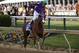 May 17, 2014; Baltimore, MD, USA; Victor Espinoza aboard California Chrome celebrates winning the 139th Preakness Stakesat Pimlico Race Course. Mandatory Credit: Winslow Townson-USA TODAY Sports