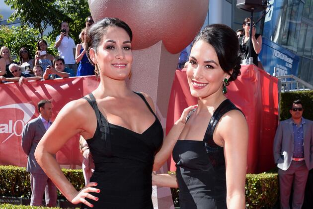 Brie Admits 'Girl Crush' on Stephanie McMahon