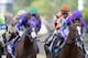 FILE - In this Saturday, May 17, 2014 file photo, California Chrome, center, ridden by Victor Espinoza, Pablo Del Monte, right, ridden by Jeffrey Sanchez, and Ria Antonia, left, ridden by Calvin Borel, race to the first turn during the 139th Preakness Stakes horse race at Pimlico Race Coursein Baltimore. California Chrome might abandon his Triple Crown bid if New York officials do not allow the colt to wear a nasal strip in the Belmont Stakes. (AP Photo/Patrick Semansky), File