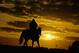 ELMONT, NY - MAY 30: A horse and exercise rider train on the main track during sunrise at Belmont Park on May 30, 2014 in Elmont, New York. (Photo by Al Bello/Getty Images)