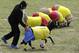 Shepherds herd a sheep dressed in jersey of Brazil's national soccer team, during a soccer sheep match between Brazil and Colombia in Nobsa, Colombia, Sunday, June 1, 2014. The match was part of the International Poncho Day, celebrated every year in this region of central Colombian where local craftsmen make sheep wool ponchos using ancestral techniques. (AP Photo/Javier Galeano)