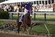 May 17, 2014; Baltimore, MD, USA; Victor Espinoza aboard California Chrome celebrates winning the 139th Preakness Stakesat Pimlico Race Course. Mandatory Credit: Winslow Townson-USA TODAY Sports