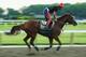 Can California Chrome win the longest and toughest Triple Crown race?