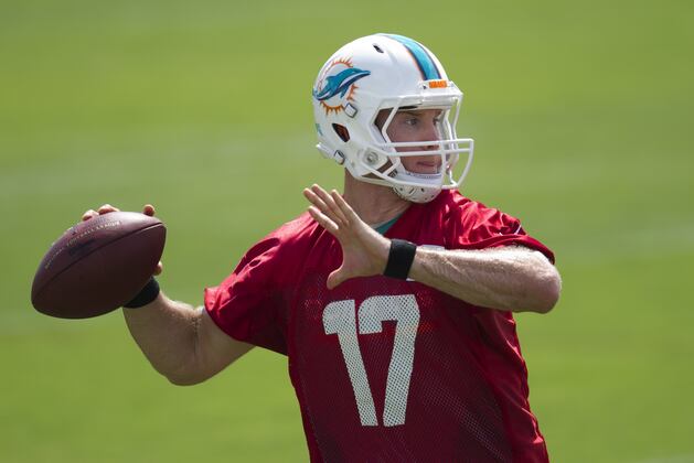 Dolphins Have Energetic Practice Inside the Bubble