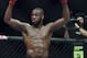 Apr 26, 2014; Baltimore, MD, USA; Jon Jones puts his arms in the air after the UFC light heavy weight championship fight against Glover Texeira at Baltimore Arena. Jones retained the light heavy height championship by defeating Teixeria. Mandatory Credit: Tommy Gilligan-USA TODAY Sports